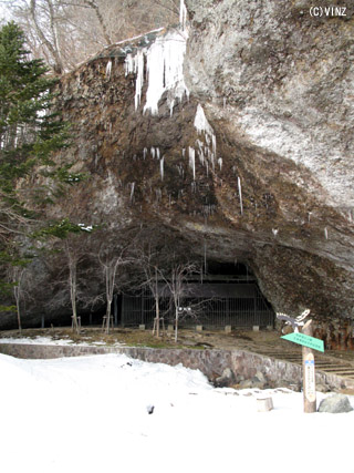 雪景色 北海道 冬 道東 羅臼 マッカウス洞窟(ヒカリゴケ) 氷筍